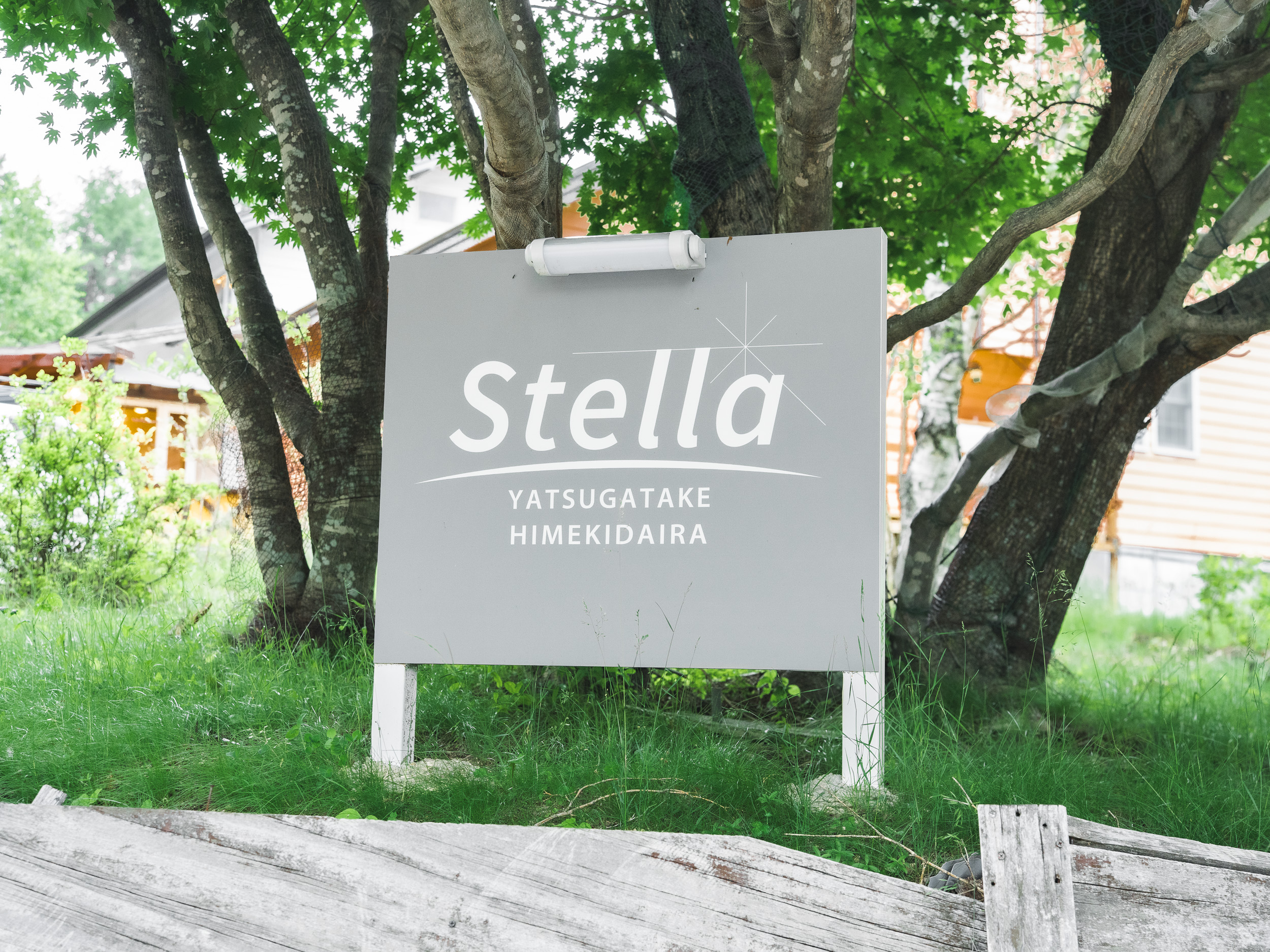 Stella 八ヶ岳姫木平 66